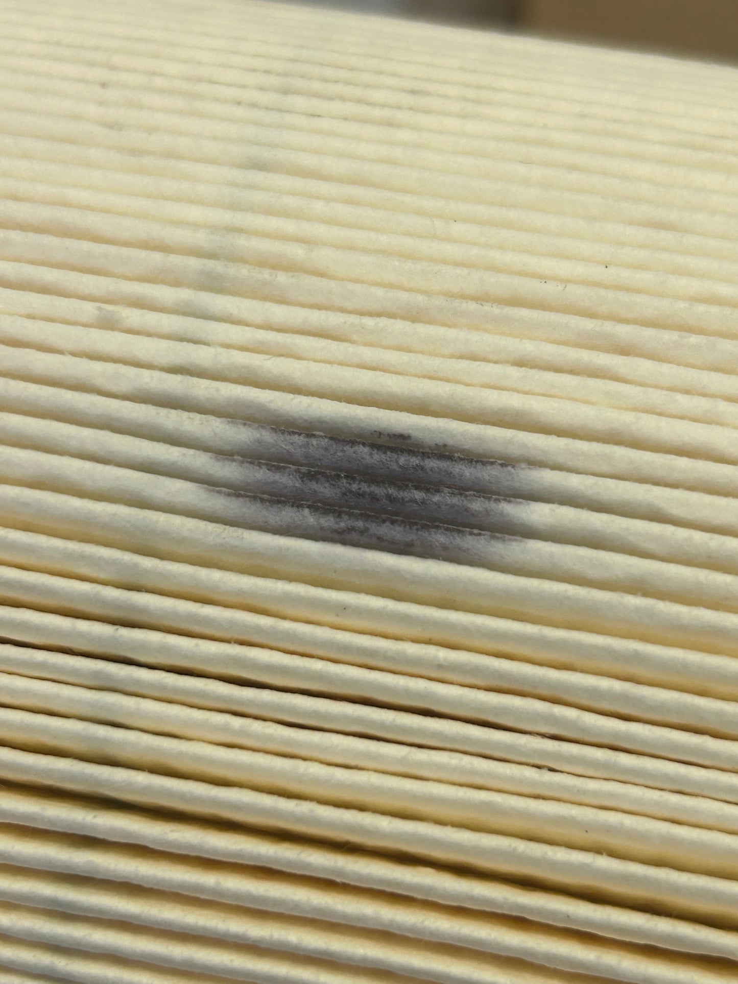 Donaldson P550912 Filter