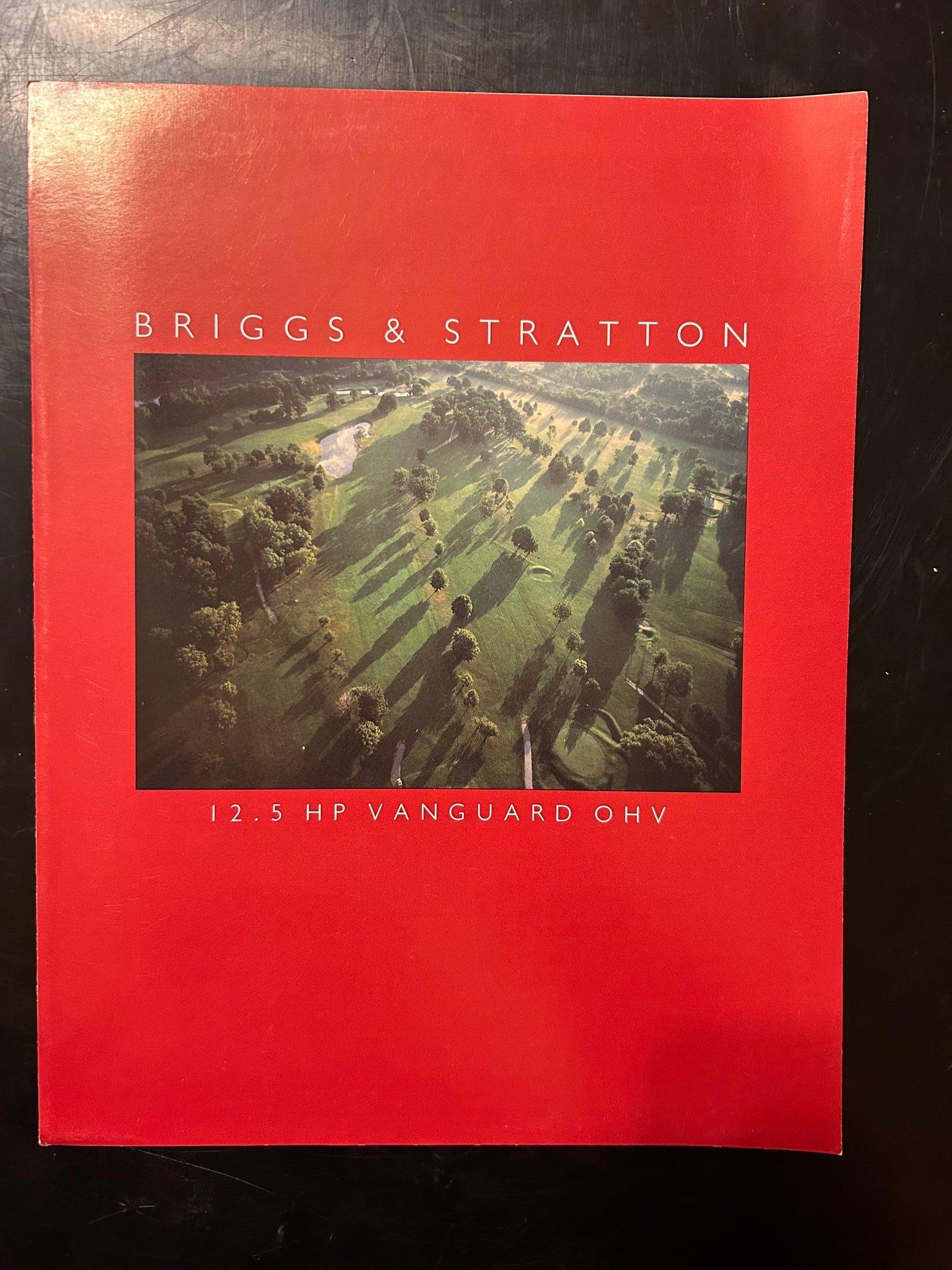 Briggs & Stratton _ Vanguard 12.5 HP OHV