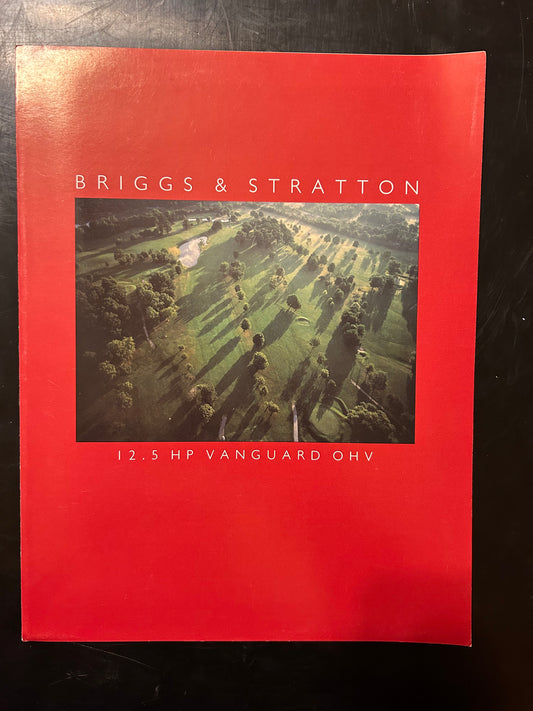 Briggs & Stratton _ Vanguard 12.5 HP OHV