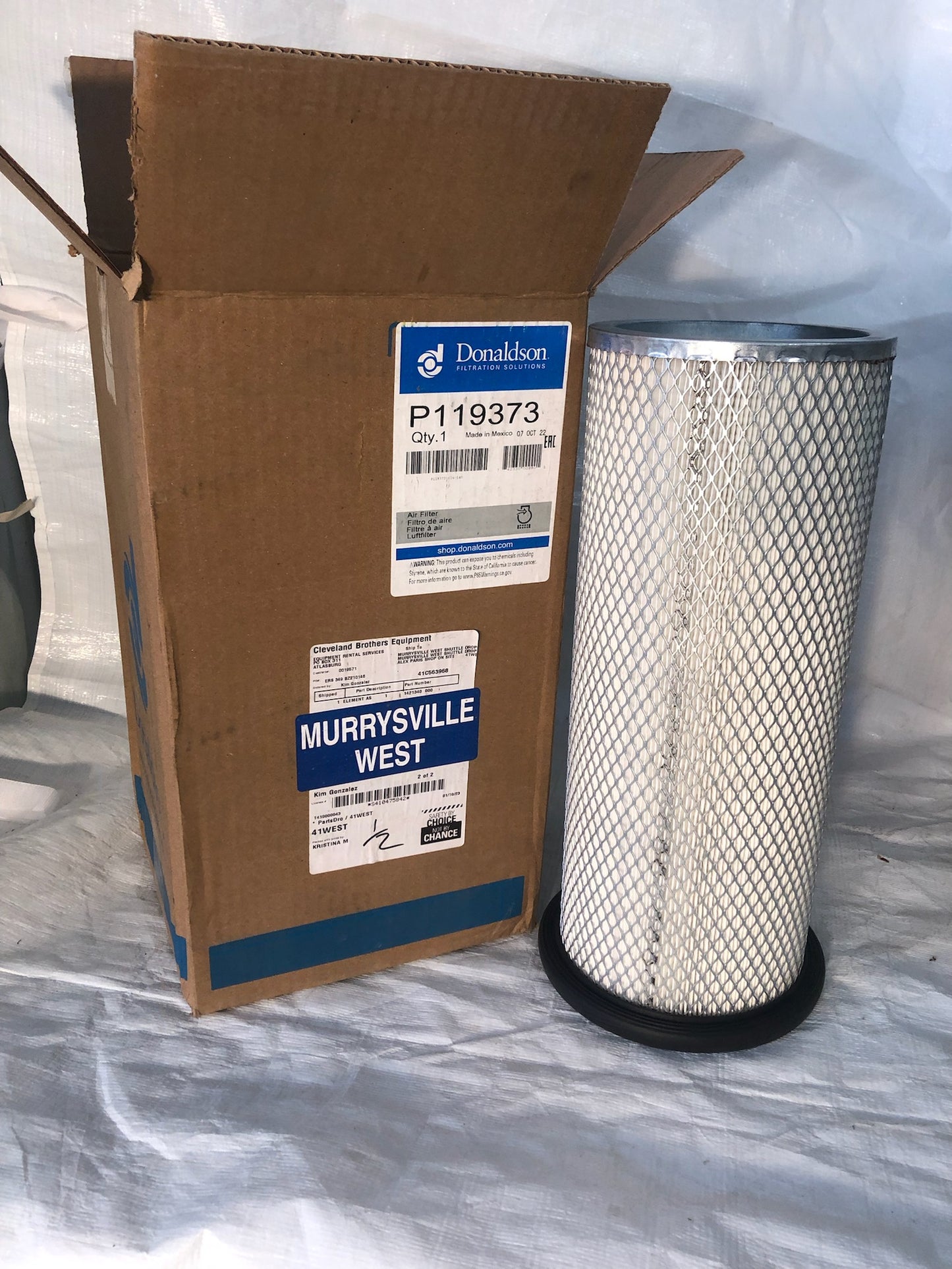 Donaldson P119373 Air Filter