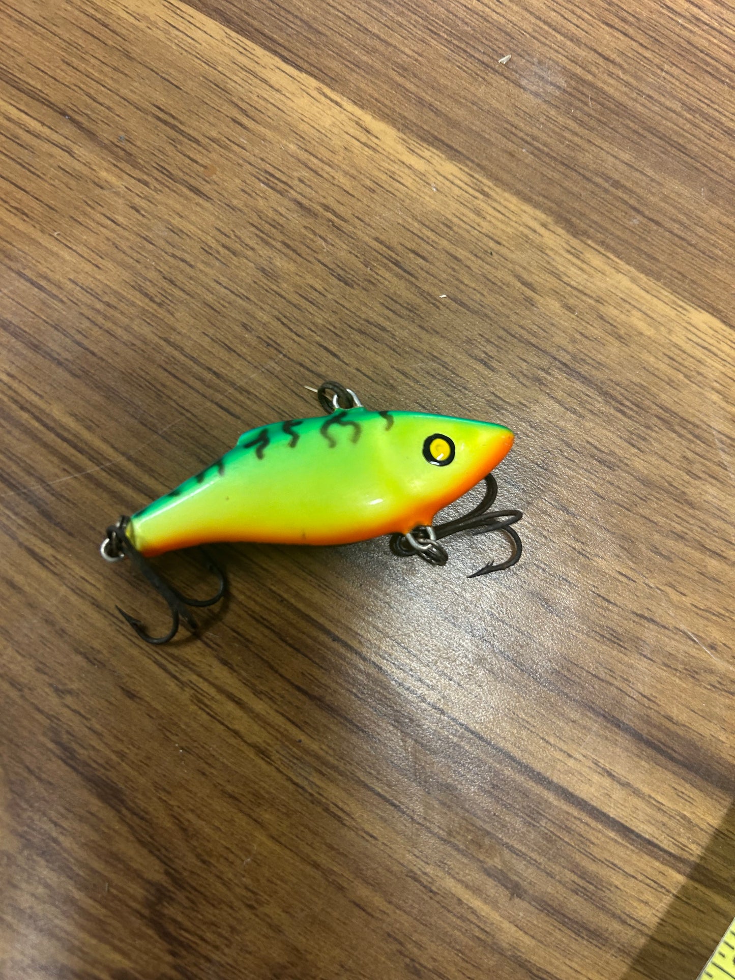 Fishing 21