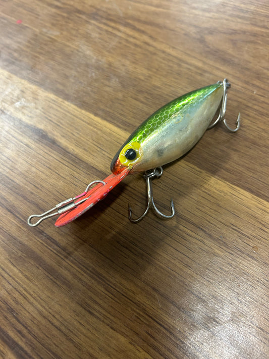 Fishing 43