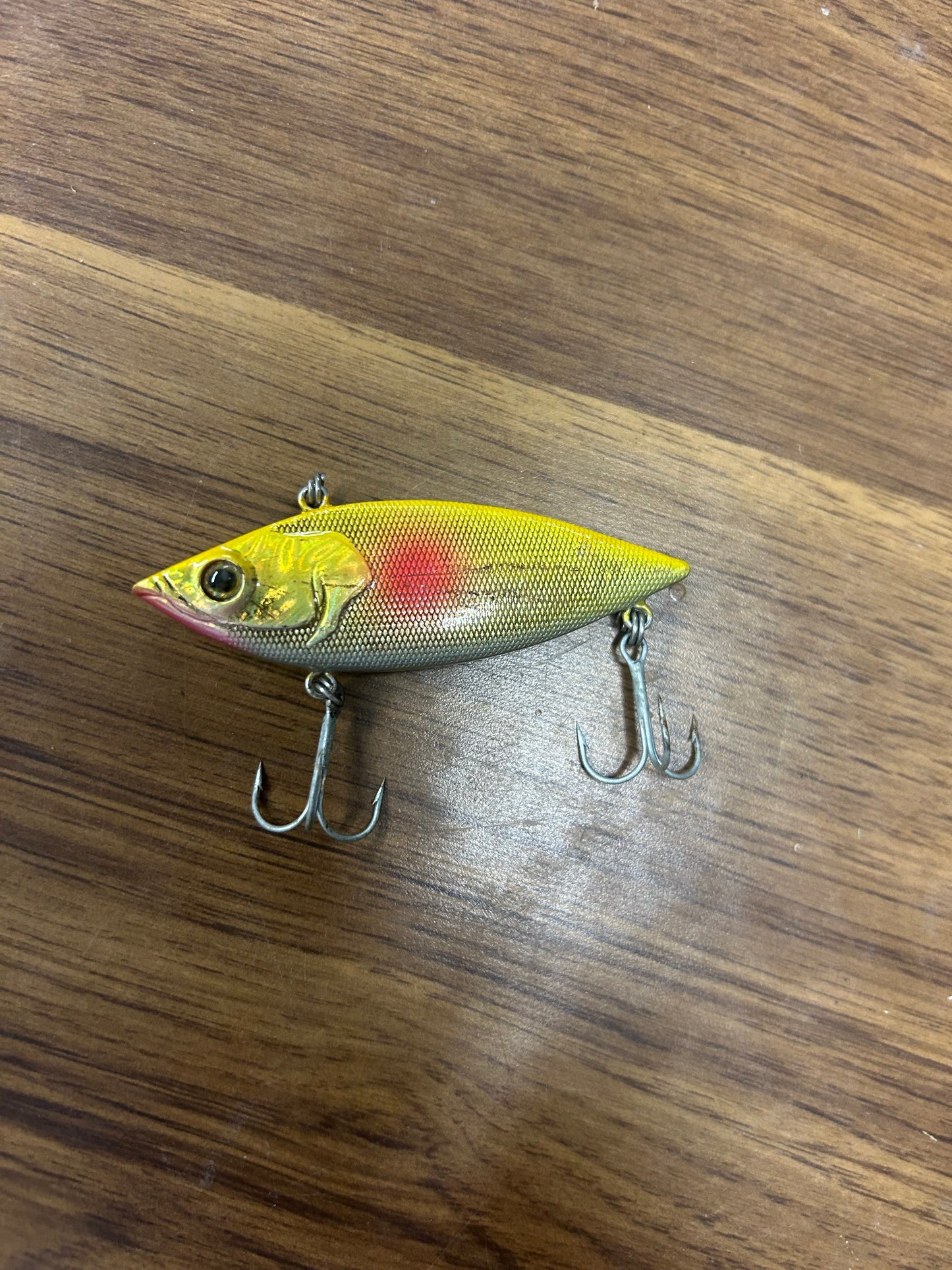 Fishing 31