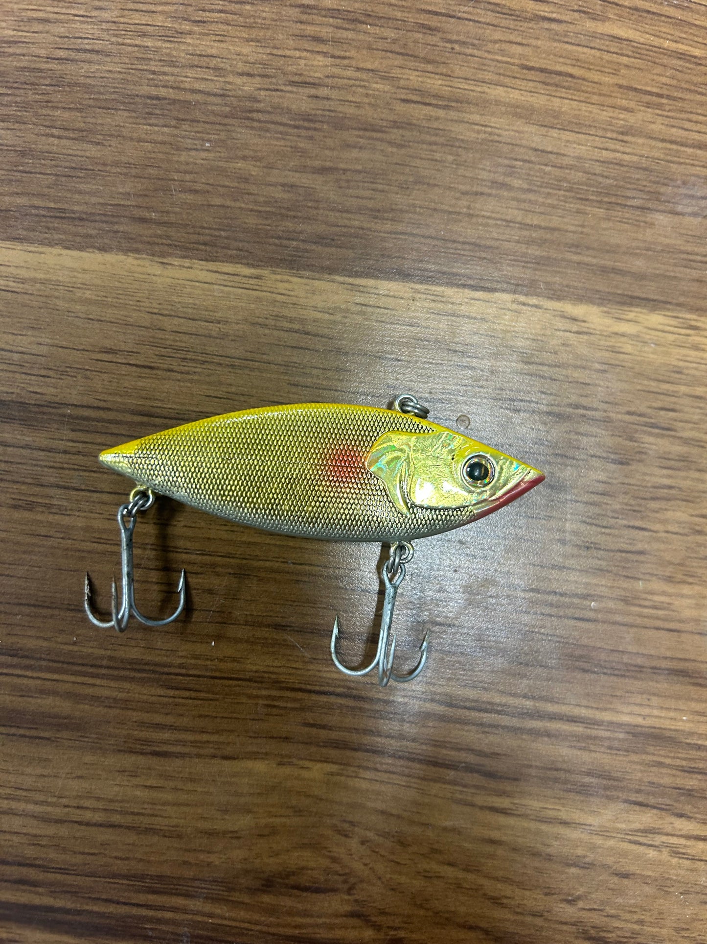 Fishing 31