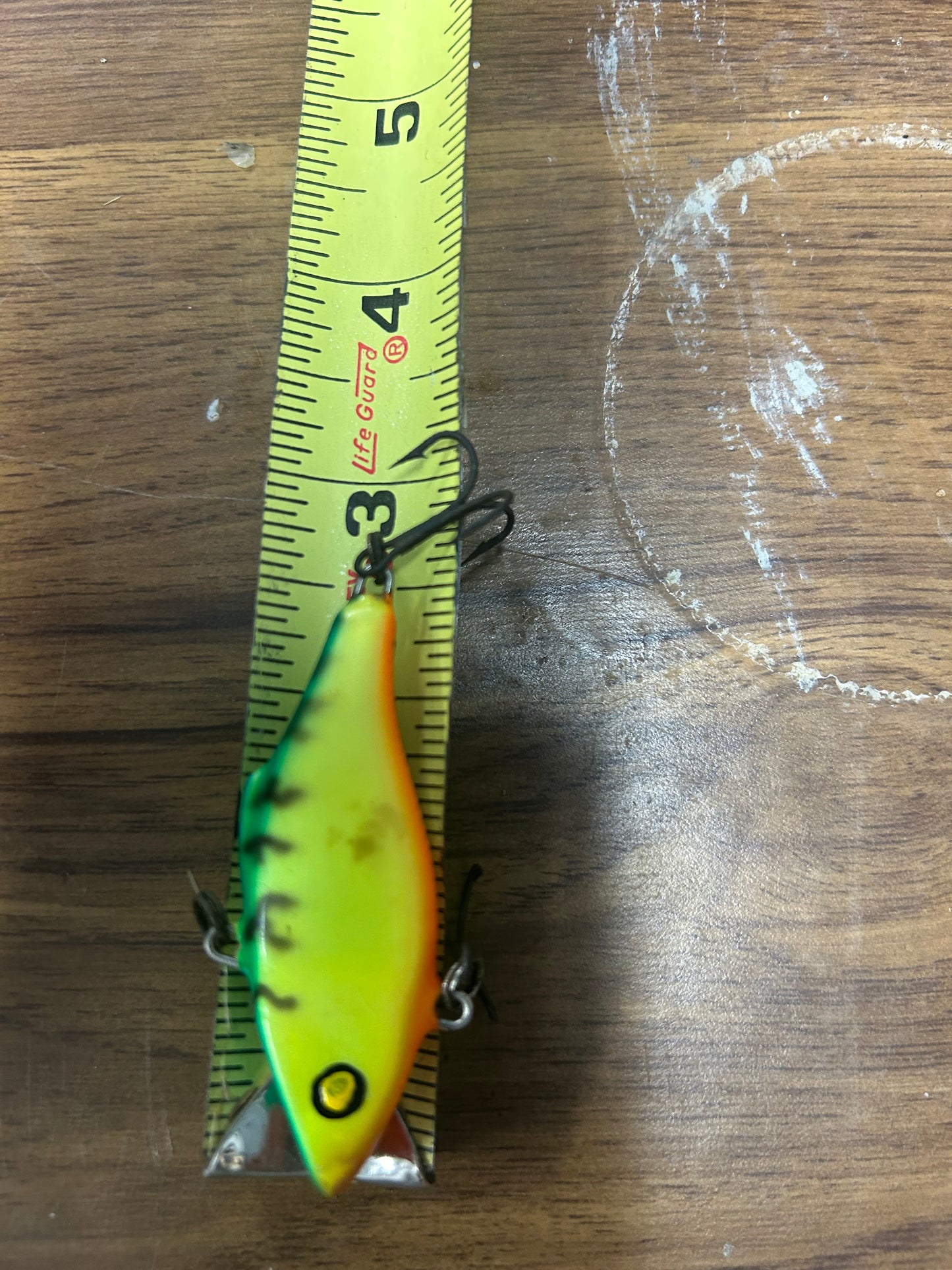 Fishing 21