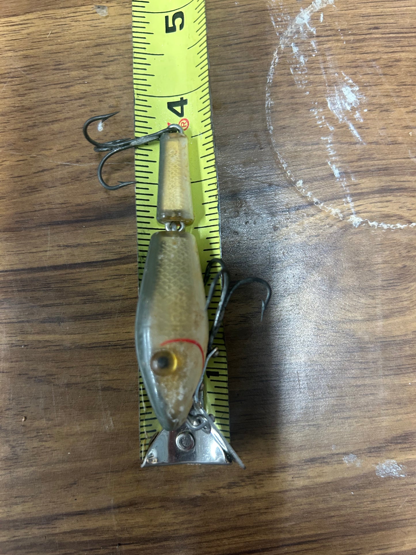 Fishing 12