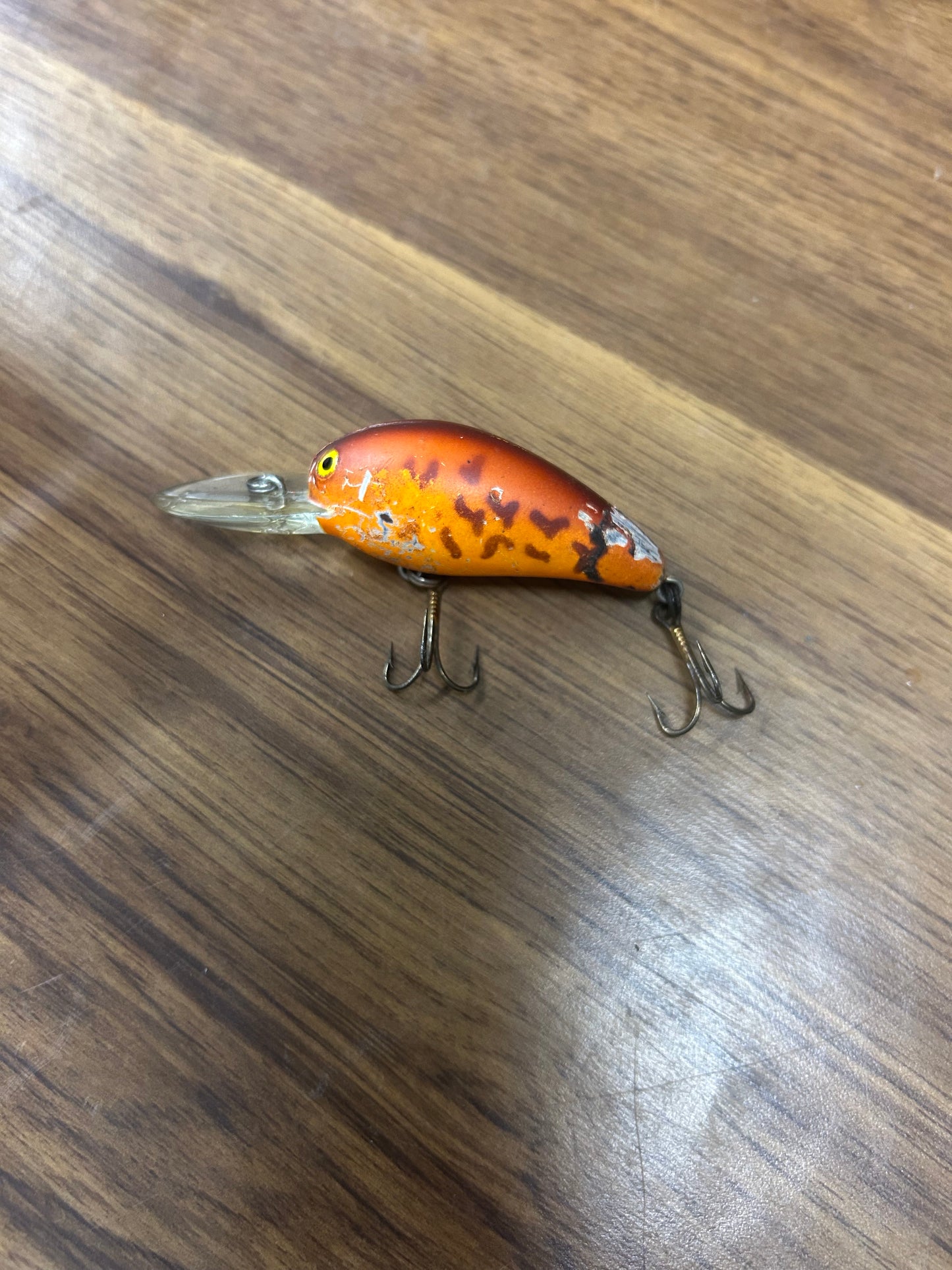 Fishing 11