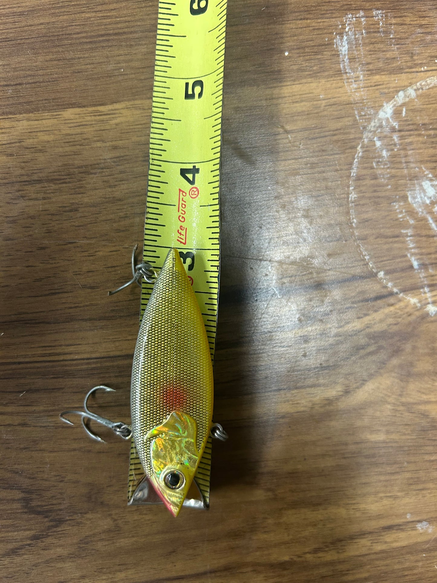 Fishing 31